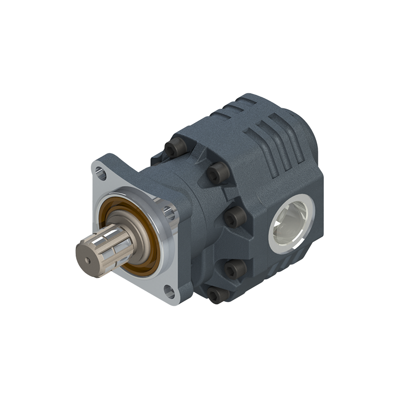 DPA 30 Series Single Rotation ISO Gear Pump
